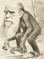 170px-Darwin_ape