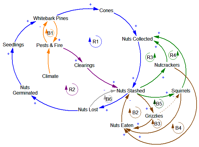 Causal Loop Diagram Archives Metasd